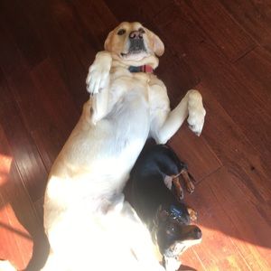 Meet your Posher, Mariana